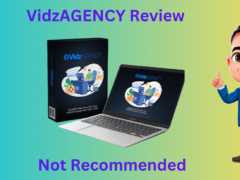 VidzAGENCY Review
